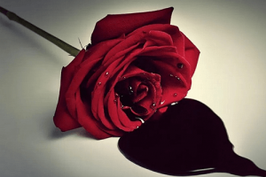 [Tổng hợp]Phá thai an toàn là gì? –  Bật mí 3 phương pháp phá thai an toàn nhất!